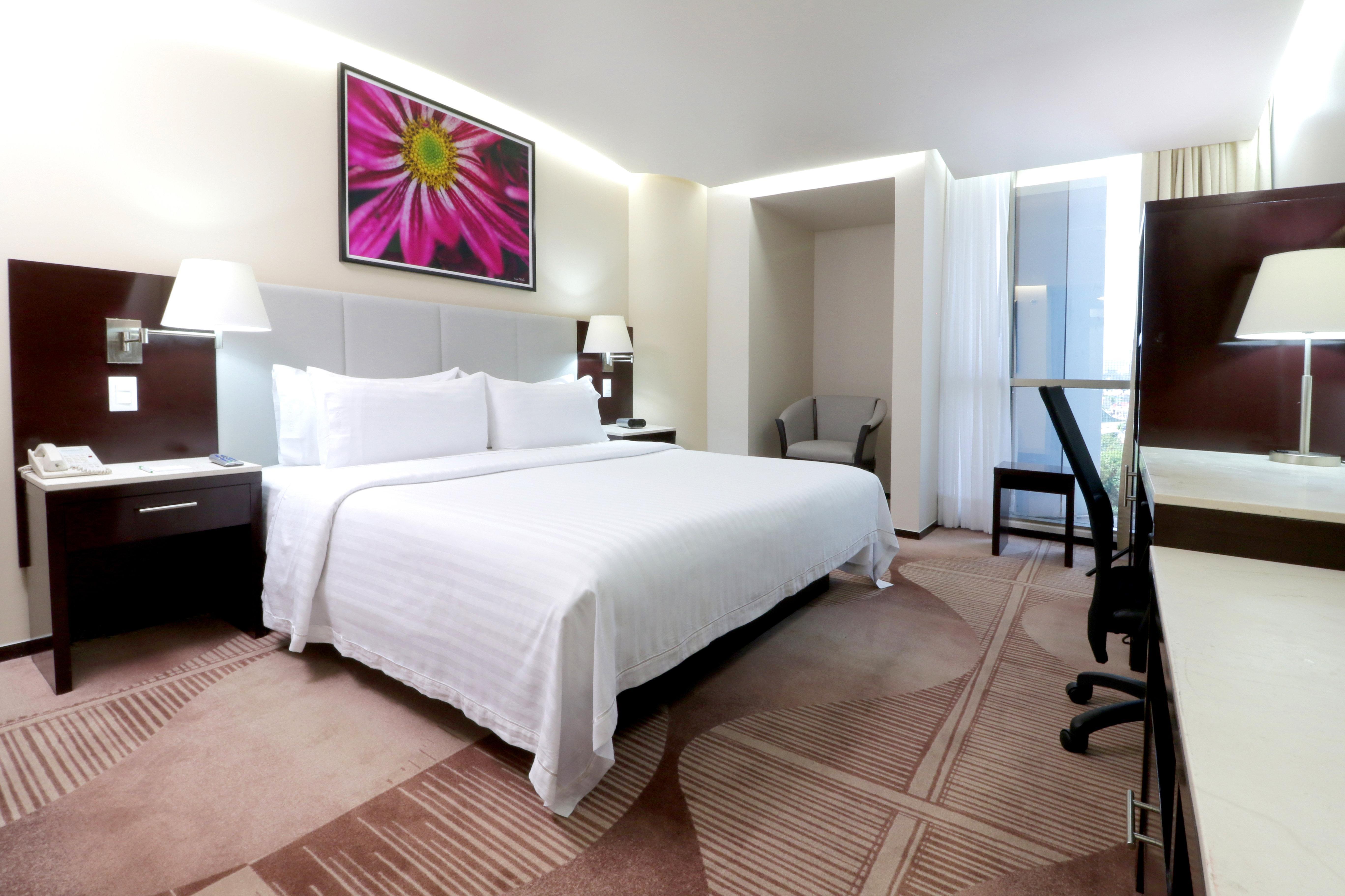 Holiday Inn Hotel & Suites Mexico Medica Sur By Ihg Εξωτερικό φωτογραφία